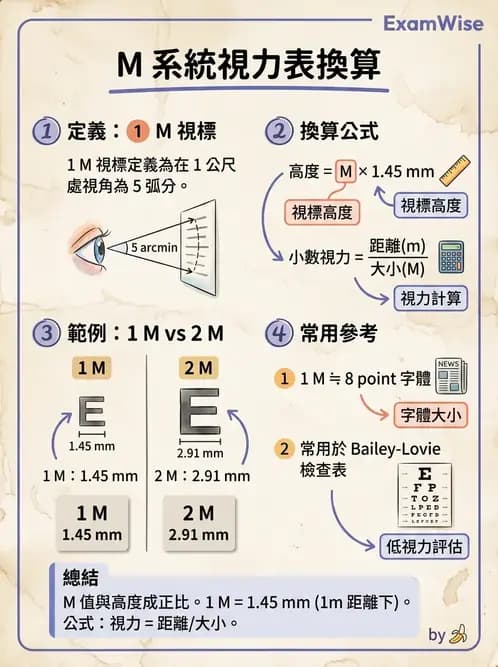 驗光師 - 視力表與視力量測 - AI 圖文解析預覽