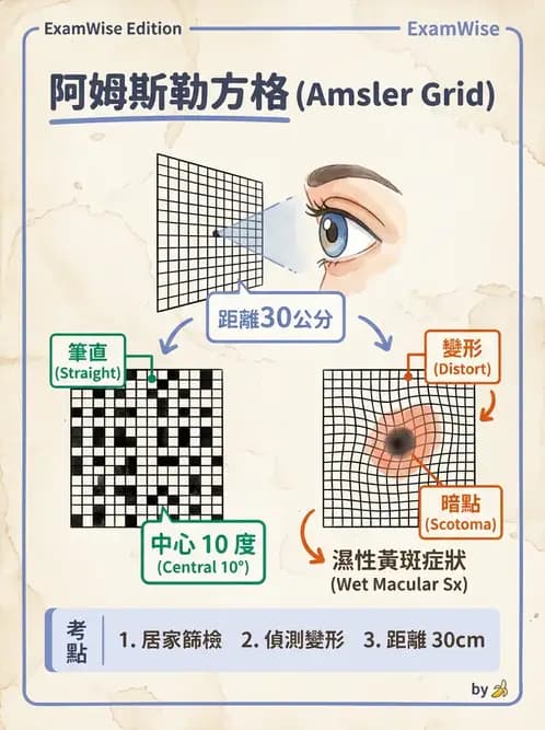 驗光師 - 視野評估與特殊族群檢查 - AI 圖文解析預覽