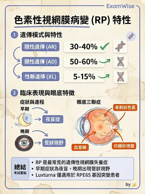 驗光師 - 遺傳性視網膜及色素疾病 - AI 圖文解析預覽