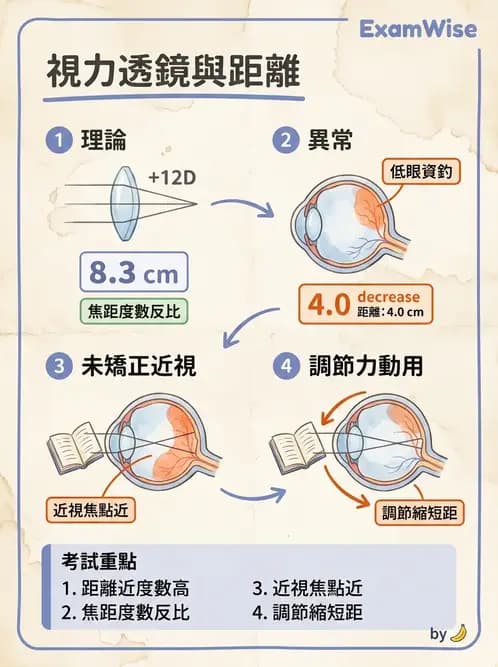 驗光師 - 放大原理與近距離光學計算 - AI 圖文解析預覽