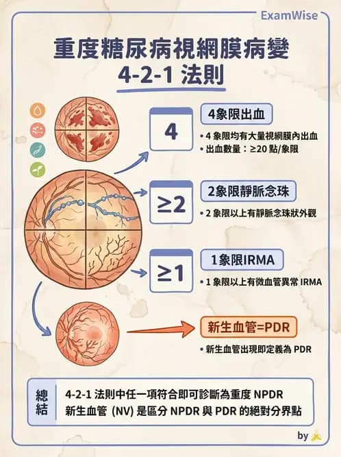 驗光師 - 糖尿病眼部病變 - AI 圖文解析預覽