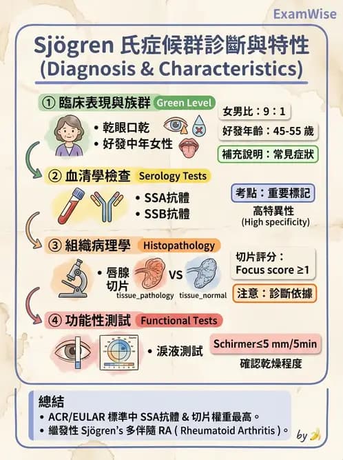 驗光師 - 葡萄膜炎與免疫相關眼病變 - AI 圖文解析預覽