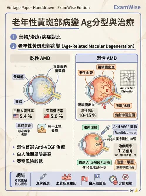 驗光師 - 老年性黃斑部及眼部退化疾病 - AI 圖文解析預覽