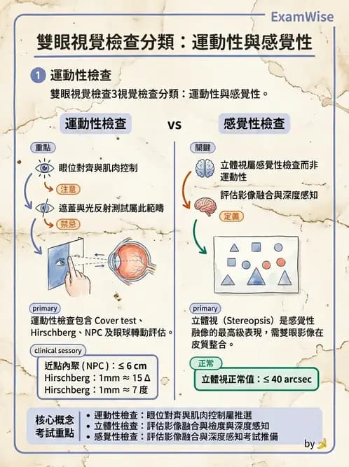 驗光師 - 斜弱視與神經眼科 - AI 圖文解析預覽