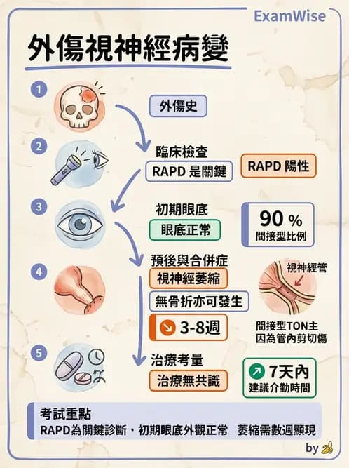 驗光師 - 斜弱視與神經眼科 - AI 圖文解析預覽