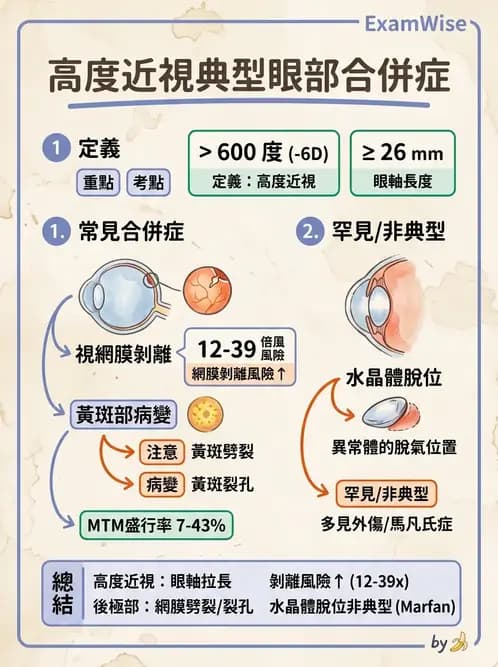 驗光師 - 近視併發症 - AI 圖文解析預覽