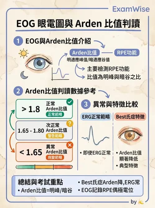 驗光師 - 視覺生理與檢查 - AI 圖文解析預覽