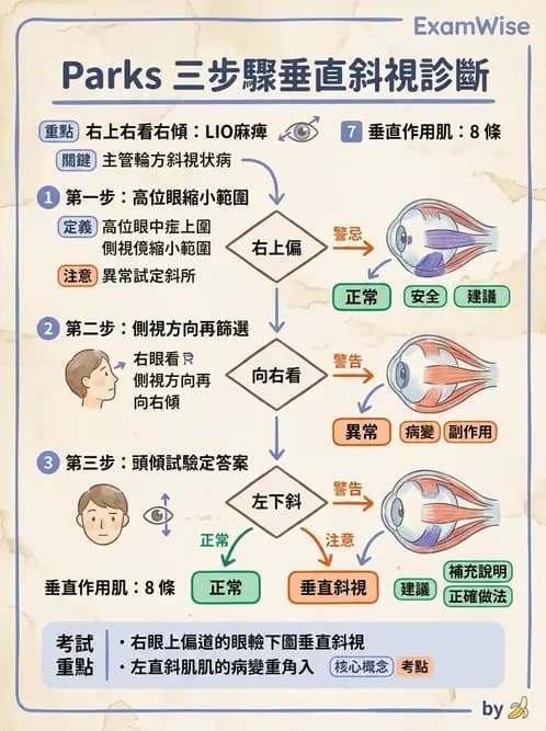 驗光師 - 眼外肌運動與眼位初步檢查 - AI 圖文解析預覽