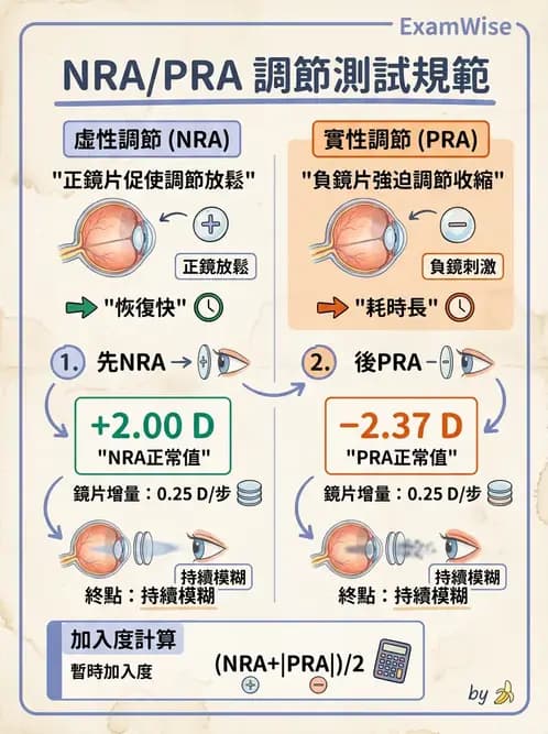 驗光師 - 老花眼主觀驗光與相對調節力 - AI 圖文解析預覽