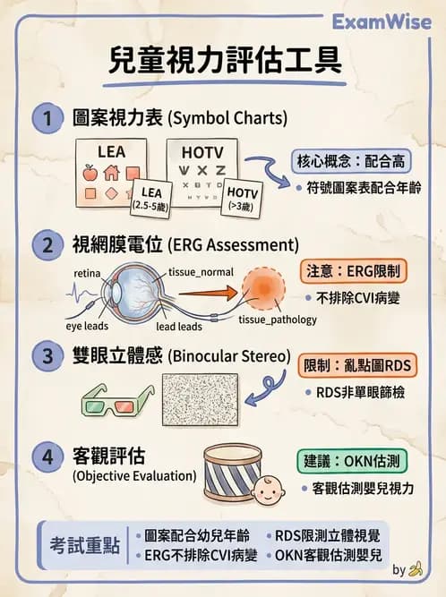 驗光師 - 視野評估與特殊族群檢查 - AI 圖文解析預覽