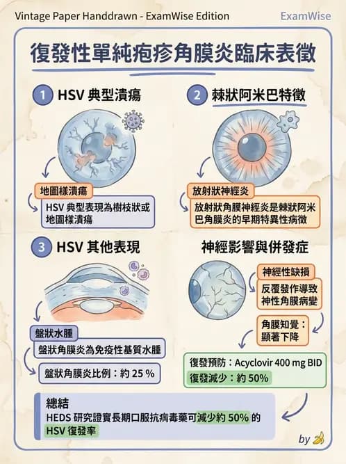 驗光師 - 感染性角結膜炎 - AI 圖文解析預覽