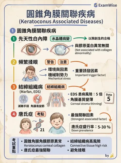 驗光師 - 角膜退化疾病與眼表問題 - AI 圖文解析預覽