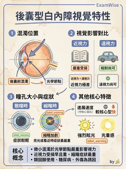驗光師 - 水晶體疾病 - AI 圖文解析預覽