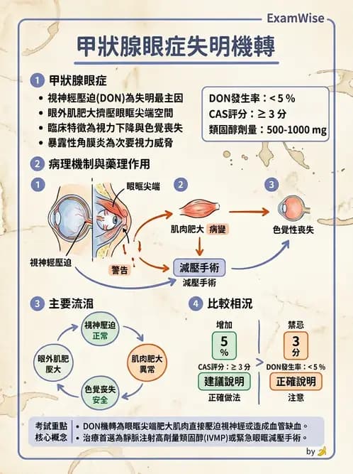 驗光師 - 血管阻塞、甲狀腺眼疾與其他全身性眼病變 - AI 圖文解析預覽
