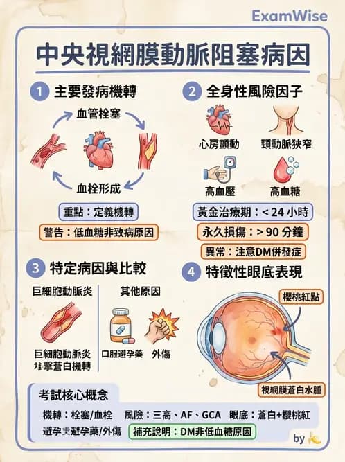 驗光師 - 血管阻塞、甲狀腺眼疾與其他全身性眼病變 - AI 圖文解析預覽
