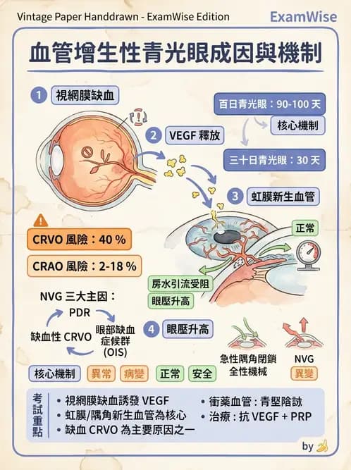 驗光師 - 青光眼分類、病因與危險因子 - AI 圖文解析預覽