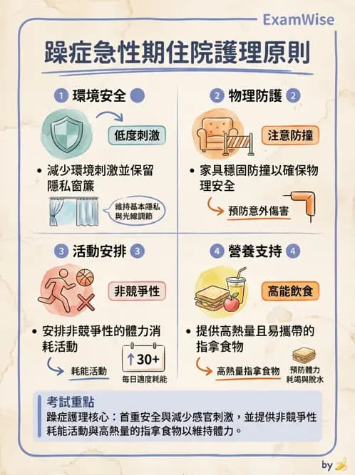 護理師 - 雙相情緒障礙護理 - AI 圖文解析預覽