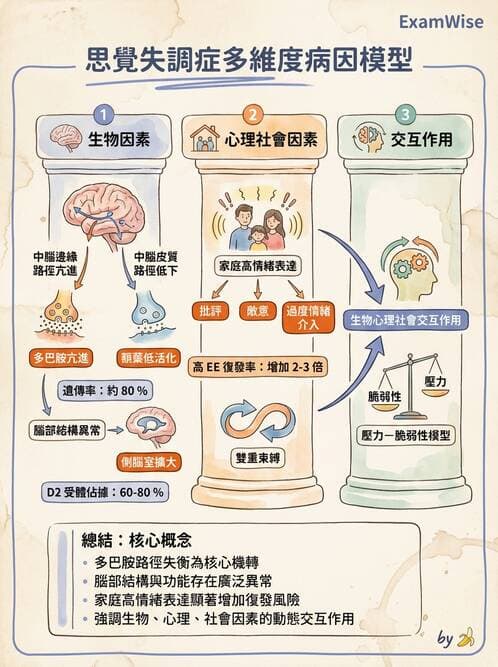 護理師 - 情感與思覺障礙綜合評估 - AI 圖文解析預覽