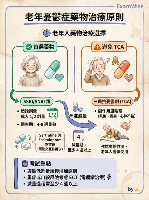 護理師 - 老年精神疾患 - AI 圖文解析預覽