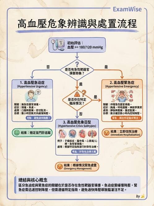 護理師 - 慢性病防治 - AI 圖文解析預覽