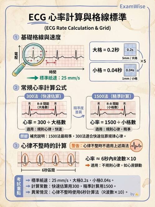 護理師 - 循環系統 - AI 圖文解析預覽