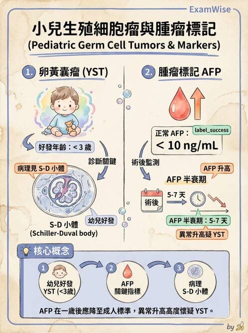 護理師 - 腫瘤及遺傳疾病 - AI 圖文解析預覽