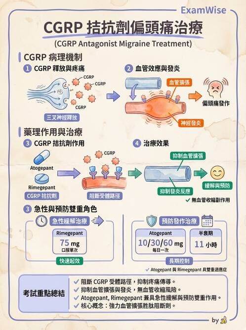 護理師 - 鎮痛、麻醉與神經科藥物 - AI 圖文解析預覽