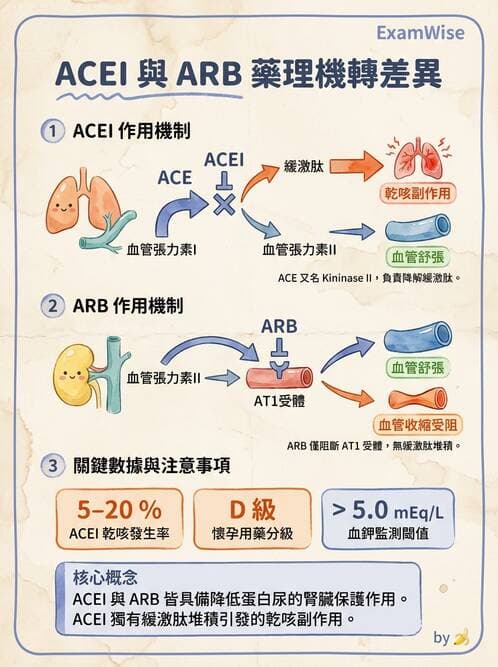 護理師 - 抗高血壓與血管藥物 - AI 圖文解析預覽
