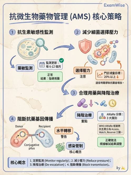 護理師 - 總論 - AI 圖文解析預覽