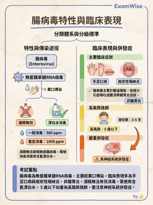 護理師 - RNA 病毒、新興病毒 - AI 圖文解析預覽
