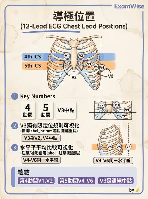 醫檢師 - 心電圖基礎與判讀 - AI 圖文解析預覽