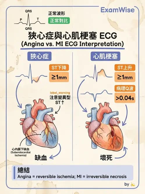 醫檢師 - 心肌病變與特殊心電圖 - AI 圖文解析預覽