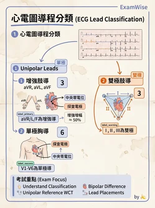 醫檢師 - 心電圖基礎與判讀 - AI 圖文解析預覽