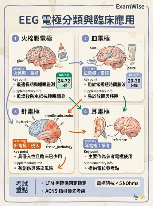 醫檢師 - 腦電圖檢查 - AI 圖文解析預覽