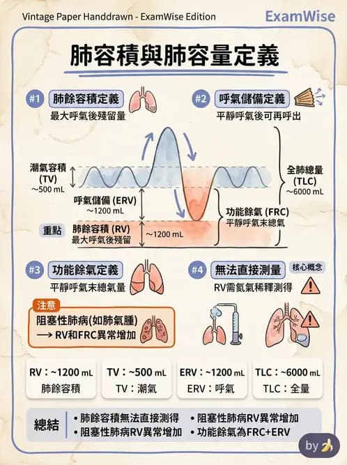 醫檢師 - 肺功能基礎與指標 - AI 圖文解析預覽