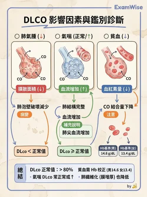 醫檢師 - 肺功能判讀與氣體交換 - AI 圖文解析預覽