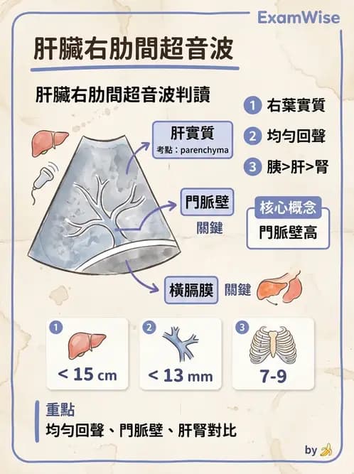 醫檢師 - 超音波檢查 - AI 圖文解析預覽