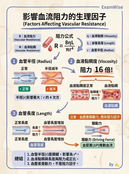 醫檢師 - 綜合性試題 - AI 圖文解析預覽