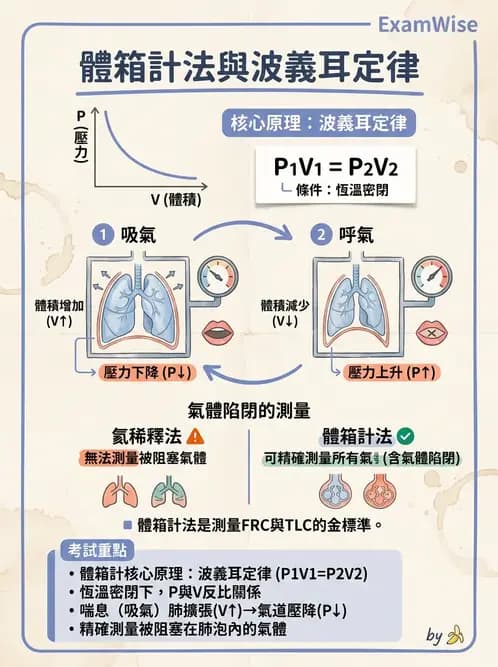 醫檢師 - 肺功能基礎與指標 - AI 圖文解析預覽