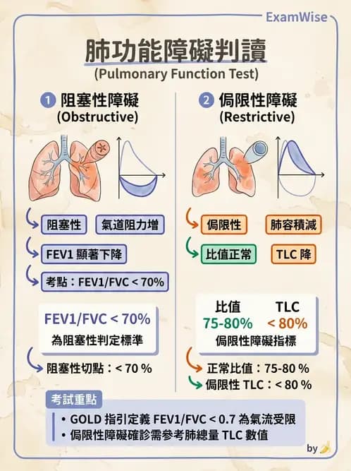 醫檢師 - 肺功能判讀與氣體交換 - AI 圖文解析預覽