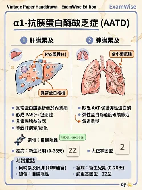 醫檢師 - 遺傳和發育疾病 - AI 圖文解析預覽