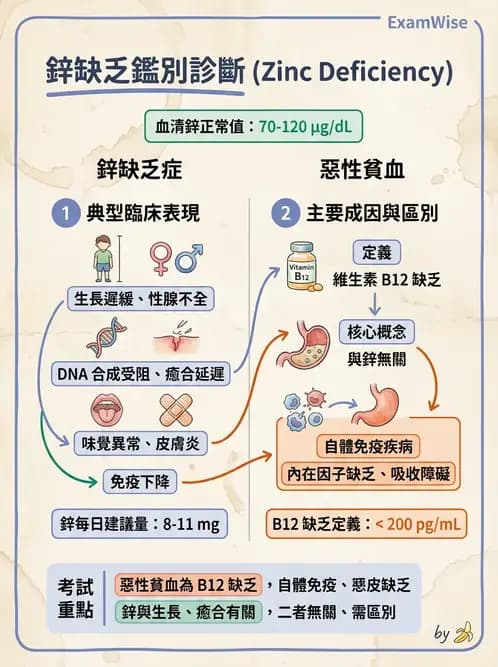 醫檢師 - 物理和化學傷害及營養疾病 - AI 圖文解析預覽
