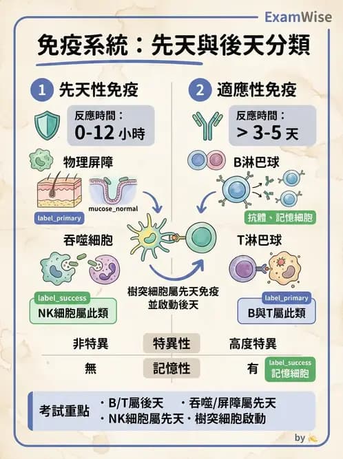 醫檢師 - 免疫疾病 - AI 圖文解析預覽