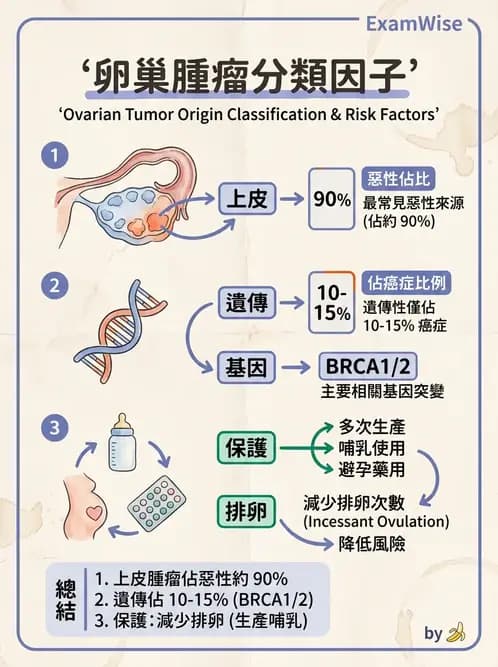 醫檢師 - 乳房及女性生殖疾病 - AI 圖文解析預覽