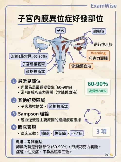 醫檢師 - 乳房及女性生殖疾病 - AI 圖文解析預覽