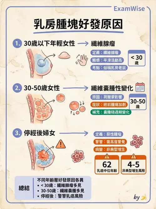 醫檢師 - 乳房及女性生殖疾病 - AI 圖文解析預覽