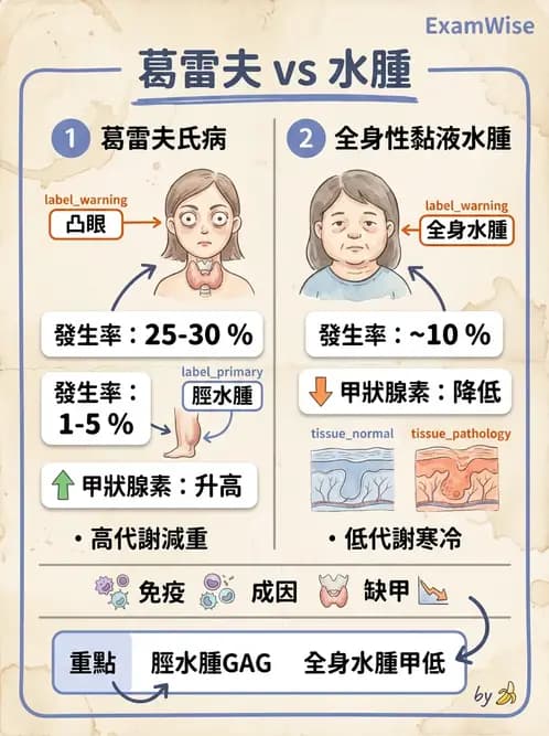 醫檢師 - 內分泌疾病 - AI 圖文解析預覽