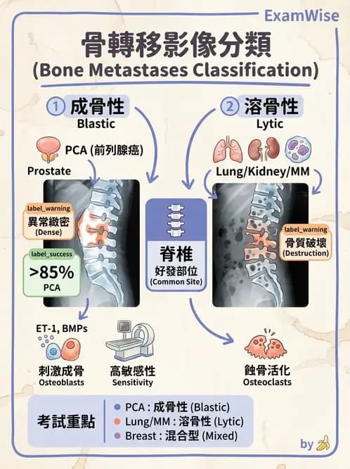 醫檢師 - 腎臟泌尿及男性生殖疾病 - AI 圖文解析預覽