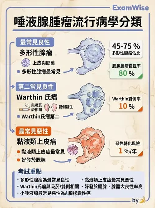 醫檢師 - 消化肝膽疾病 - AI 圖文解析預覽