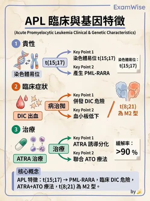 醫檢師 - 急性白血病 - AI 圖文解析預覽